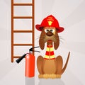 Funny dog firefighter Royalty Free Stock Photo