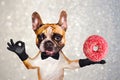 Funny dog ginger french bulldog waiter in a black bow tie hold a donut and show a sign approx. Animal on gray background with Royalty Free Stock Photo