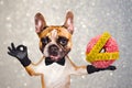 Funny dog ginger french bulldog waiter in a black bow tie hold a donut and show a sign approx. Animal on gray background with Royalty Free Stock Photo
