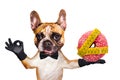 Funny dog ginger french bulldog waiter in a black bow tie hold a donut and show a sign approx. Animal isolated on white background Royalty Free Stock Photo