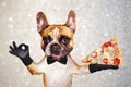 Funny dog ginger french bulldog waiter in a black bow tie hold a slice of italian pizza with cheese and tomatoes and show a sign Royalty Free Stock Photo