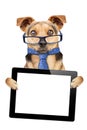 Funny Dog glasses tie tablet blank screen isolated