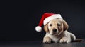 funny dog in a hat of Santa Claus. Cute sitting puppy dog in a Christmas, Santa hat. ai generative