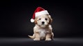 funny dog in a hat of Santa Claus. Cute sitting puppy dog in a Christmas, Santa hat. ai generative