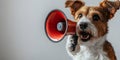 A funny dog holding a megaphone and announcing with an isolated background Royalty Free Stock Photo
