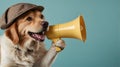 A funny dog holding a megaphone Royalty Free Stock Photo