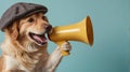 A funny dog holding a megaphone Royalty Free Stock Photo