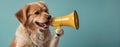 A funny dog holding a megaphone Royalty Free Stock Photo