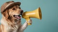 A funny dog holding a megaphone Royalty Free Stock Photo