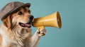 A funny dog holding a megaphone Royalty Free Stock Photo