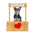 Funny Dog Kissing Booth