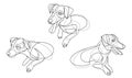 Funny dog linear vector illustrations set isolated, Jack Russel Terrier pet playful and cute.