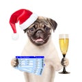 Funny dog in red christmas hat holding airline tickets and glass of champagne. isolated on white background