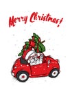 Funny dog in a retro car with a Christmas tree on the roof. Vector illustration. New Year`s and Christmas. Purebred puppy. Royalty Free Stock Photo