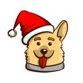 Funny Dog In Santas Hat