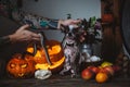 Funny dog selebrates Haloween with snakes and pumpkin