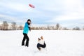 Funny dog walk in the snow, woman playing frisbee with her dog, winter season Royalty Free Stock Photo