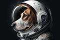Funny dog wearing astronaut detailed white helmet looking ahead