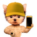 Funny dog wearing cap and holding mobile phone Royalty Free Stock Photo