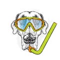 Funny dog wearing a mask for diving and snorkel. Vector illustration.