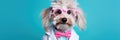 Funny Dog Wearing A Quirky Scientists Lab Coat And Glasses Funny Dog, Scientist Lab Coat, Quirky Gla