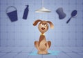 Funny doggy for grooming