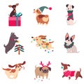 Funny Dogs with Christmas Symbols Set, Xmas and New Year, Happy Winter Holidays Concept Cartoon Style Vector Royalty Free Stock Photo