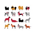 Funny dogs collection, sketch for your design Royalty Free Stock Photo