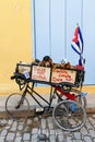 Cuba, Havana, Funny dogs on a bike