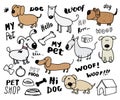 Funny Dogs doodle Set. Hand drawn sketched pets collection Vector Illustration on white background. Royalty Free Stock Photo