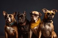 Funny dogs gang in sunglasses on studio background. Pets portrait. Generative ai