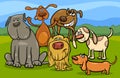 Funny dogs group cartoon illustration Royalty Free Stock Photo