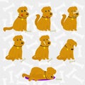 Funny dogs set