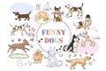 Funny Dogs Sketches. Hand drawn illustration