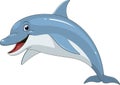 Funny dolphin fun Royalty Free Stock Photo