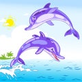 Funny dolphins