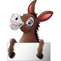 Funny donkey with blank sign Royalty Free Stock Photo