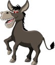 Funny donkey cartoon Royalty Free Stock Photo