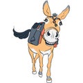 Funny donkey with a saddle Royalty Free Stock Photo