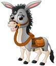 Funny donkey smiling with a saddle Royalty Free Stock Photo