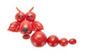 Funny dragon made of tomato Royalty Free Stock Photo