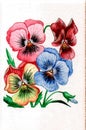 Funny drawing. Paper, watercolor, blue background. Pansy flowers.
