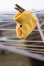 Funny duck as a baby sock