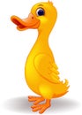 Funny duck cartoon