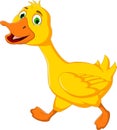 Funny duck cartoon running