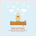 Funny duck, greeting card, vector