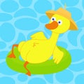 A funny duck swims on an inflatable circle in the lake. The duck put on a straw hat.