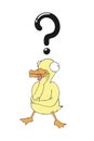 Funny duck thinking Royalty Free Stock Photo