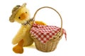 Funny duckling basket