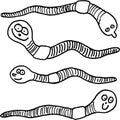 Funny earthworms Royalty Free Stock Photo